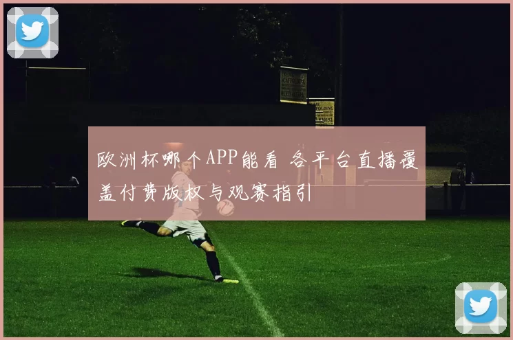 欧洲杯哪个APP能看 各平台直播覆盖付费版权与观赛指引
