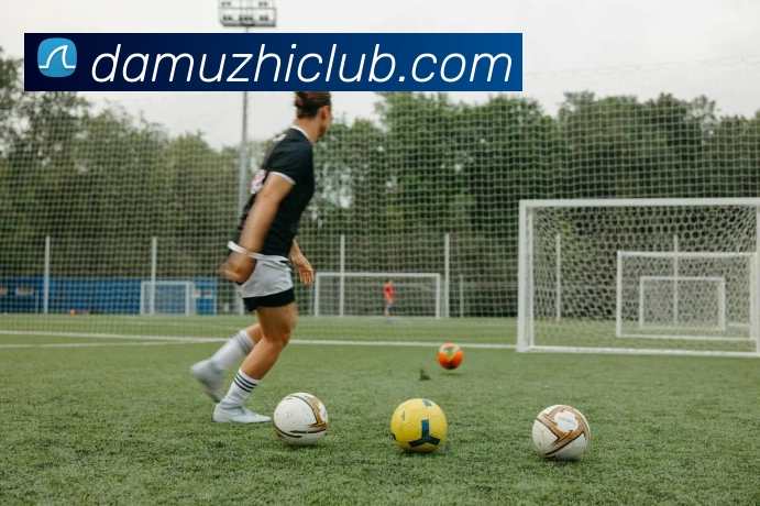 App Interface Preview